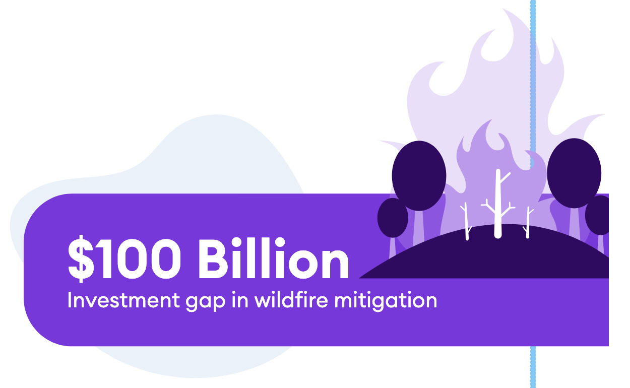 Wildfire Prevention